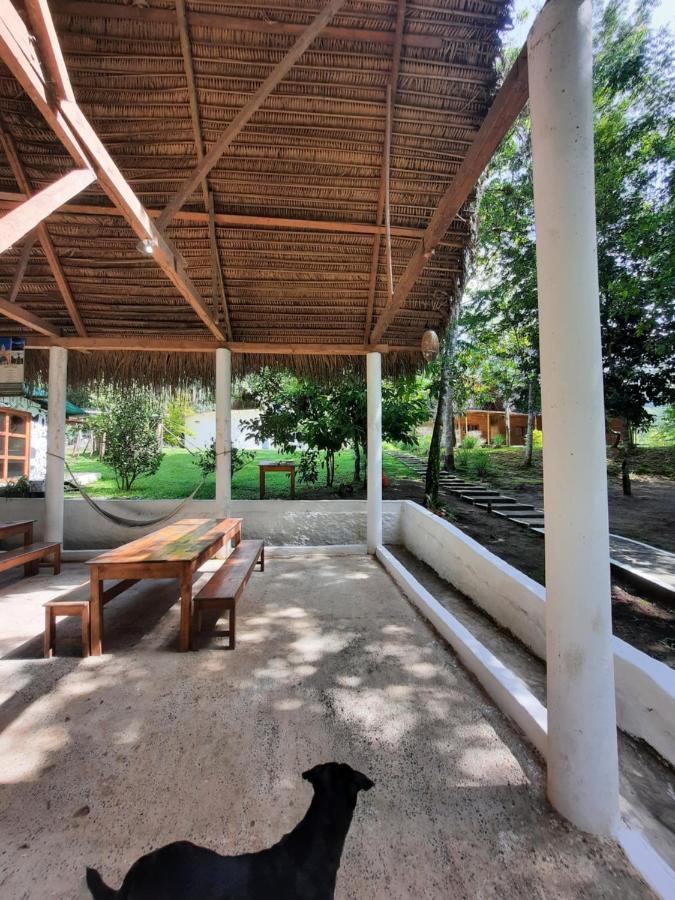 Pachamaya River Hostel Lanquin Ngoại thất bức ảnh